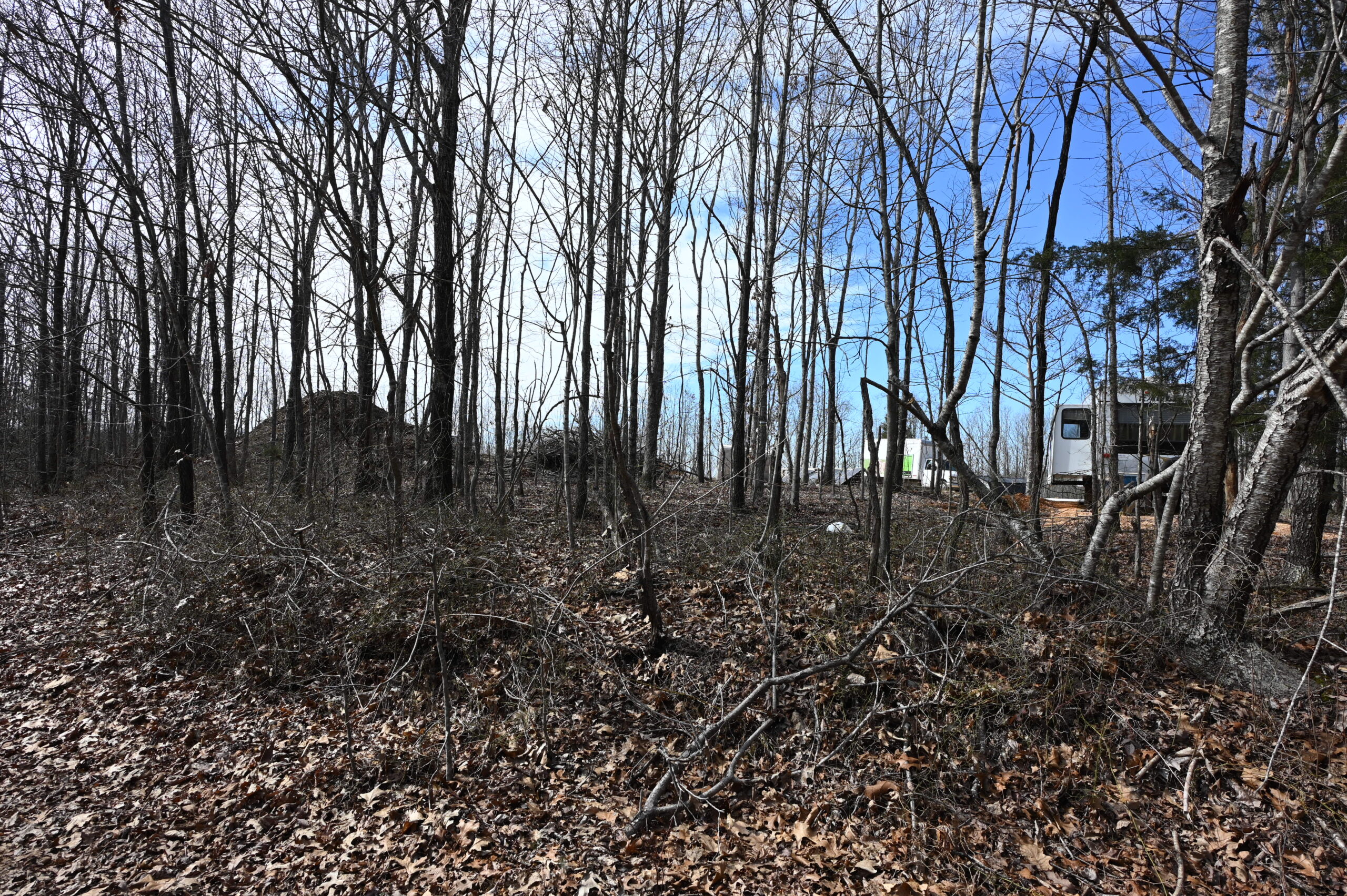 12.33 Acres Land for Sale in Perry County, Tennessee