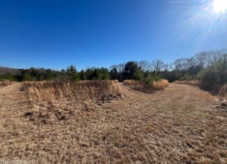 Great Homesite and Hunting Tract in Hermanville, MS