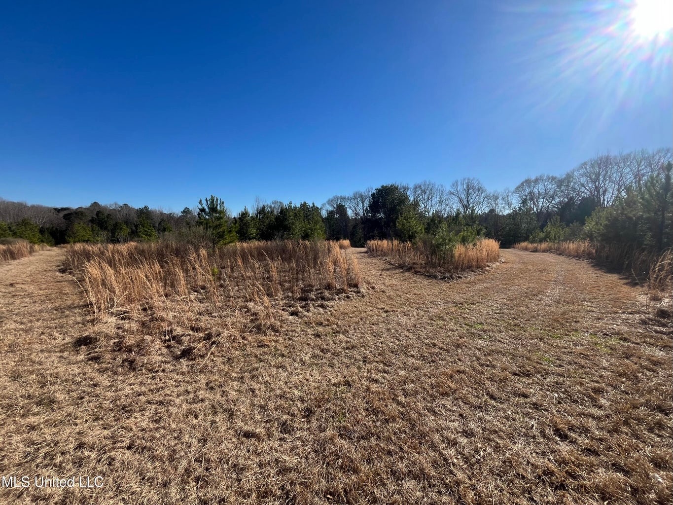 Great Homesite and Hunting Tract in Hermanville, MS