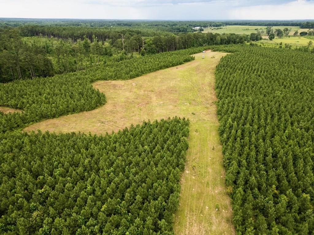 Mississippi Hunting Land – Easy 88 in Magnolia/Osyka