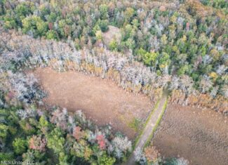 Tensas Parish LA – The Glade Hunting Property