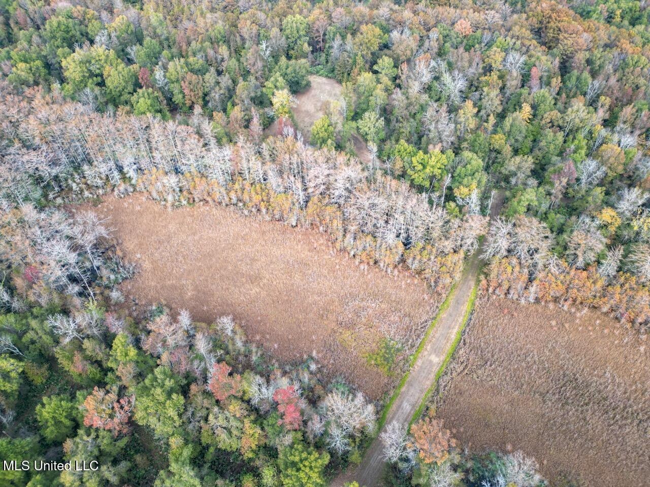 Tensas Parish LA – The Glade Hunting Property