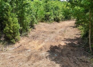 Small Hunting Tract FOR SALE in Amite County, MS