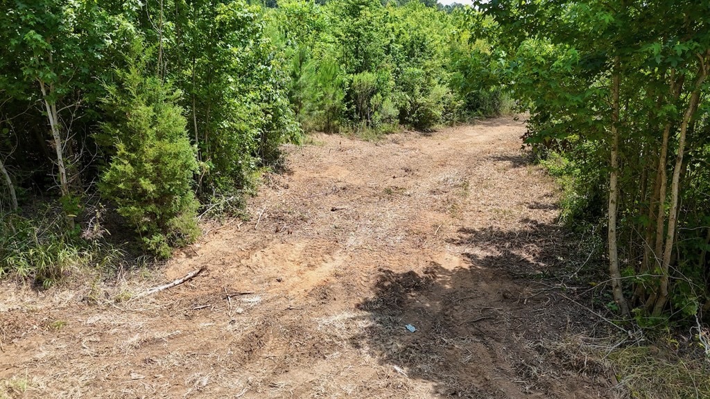 Small Hunting Tract FOR SALE in Amite County, MS