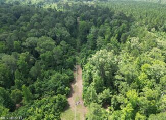 28+- Acres for Sale in Natchez, MS