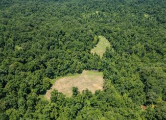 Hunting Land in Claiborne County, MS – Lonesome Pine