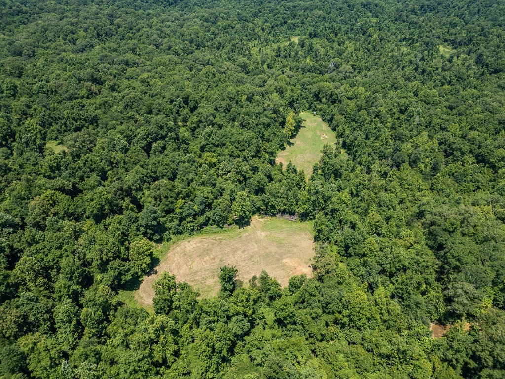 Hunting Land in Claiborne County, MS – Lonesome Pine