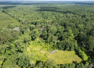 Clinton 30 Acres for Sale – Rural Land Near Baton Rouge, LA