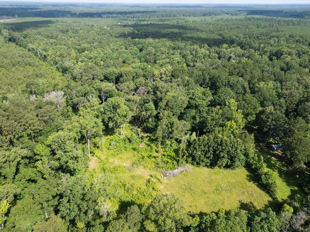 Clinton 30 Acres for Sale – Rural Land Near Baton Rouge, LA
