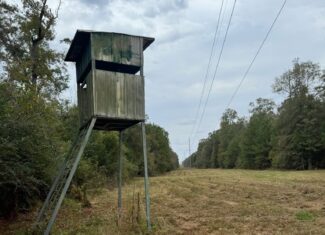 Land on the Tangipahoa River in Pike County, MS