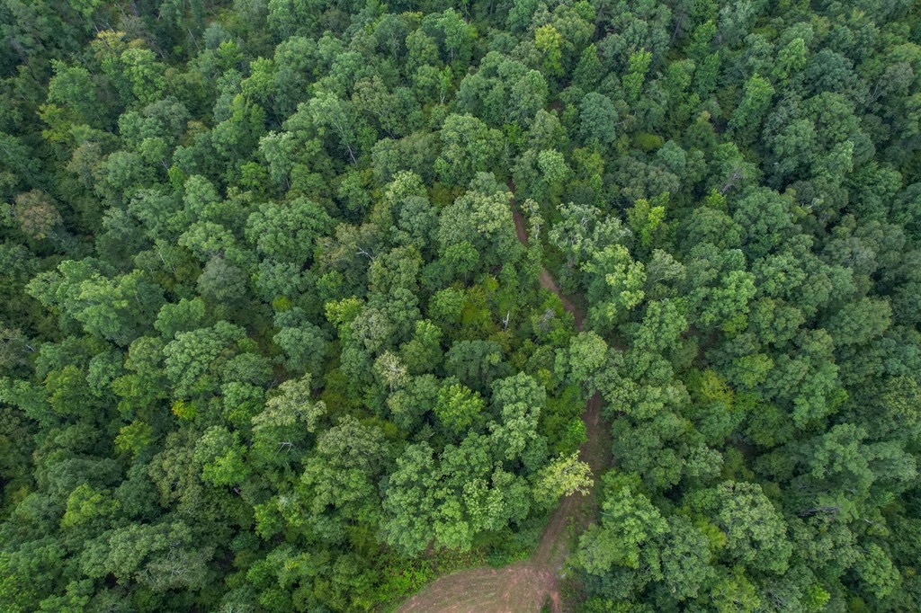 Hunting Land for Sale in Hinds County, MS