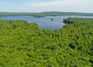Lakefront Land for Sale – 12.52 Acres with 355 Feet of Shoreline