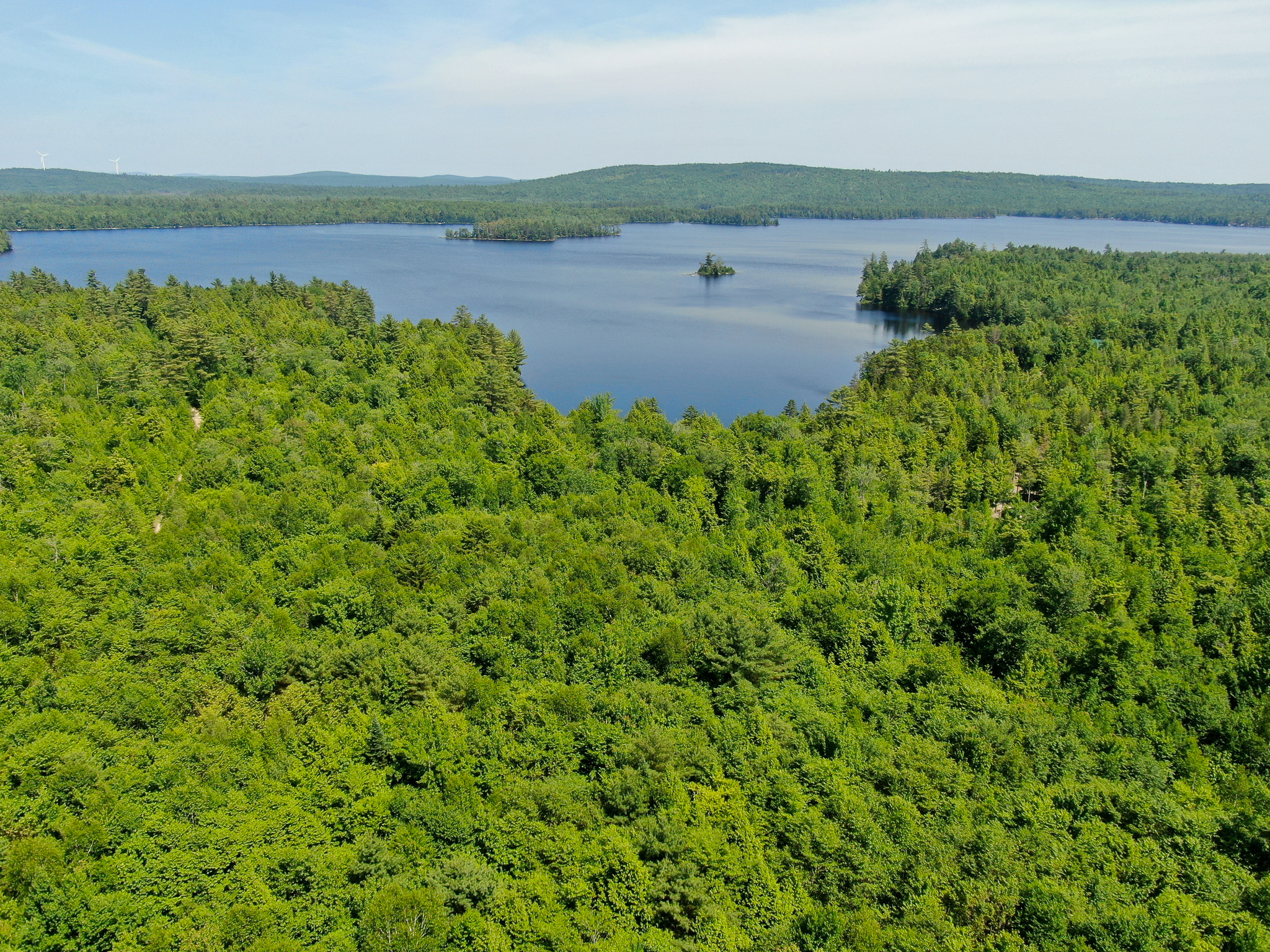 Lakefront Land for Sale – 12.52 Acres with 355 Feet of Shoreline