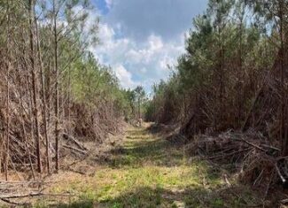 52 Acre Homesite Madison County Camden, MS