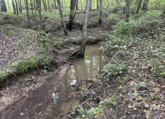 HUNTING LAND WITH SPRING / CREEK IN HARDIN COUNTY, 100 ACRES+/-