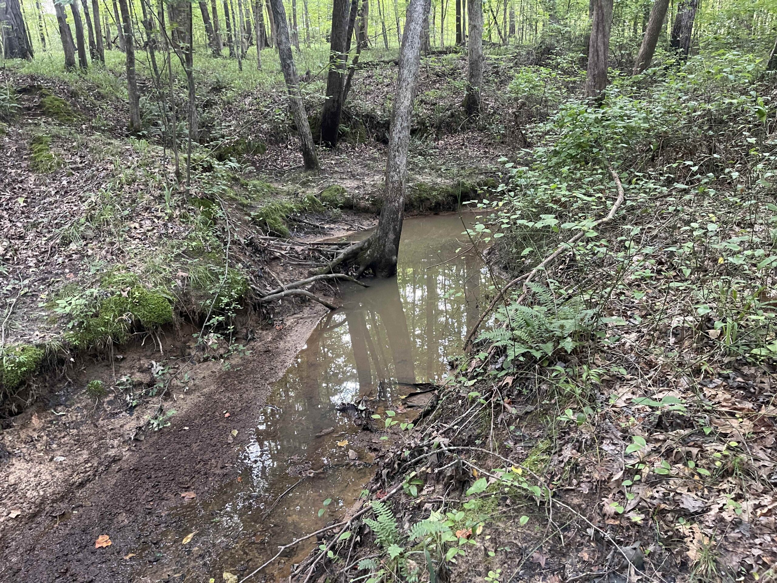 HUNTING LAND WITH SPRING / CREEK IN HARDIN COUNTY, 100 ACRES+/-