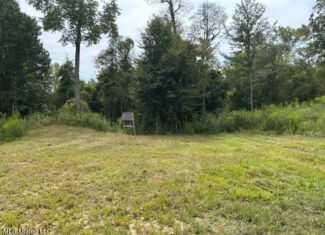 60 Acres For Sale In Yazoo County, MS