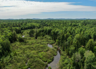 Off-Grid Maine Cabin for Sale | 26 Acres with Stream Frontage