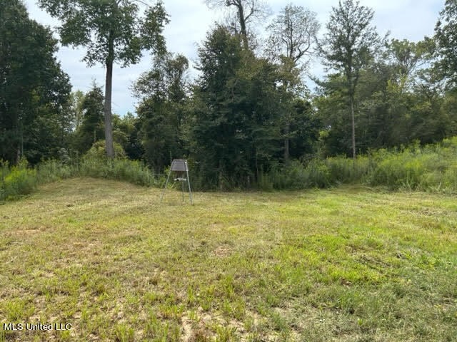 60 Acres For Sale In Yazoo County, MS