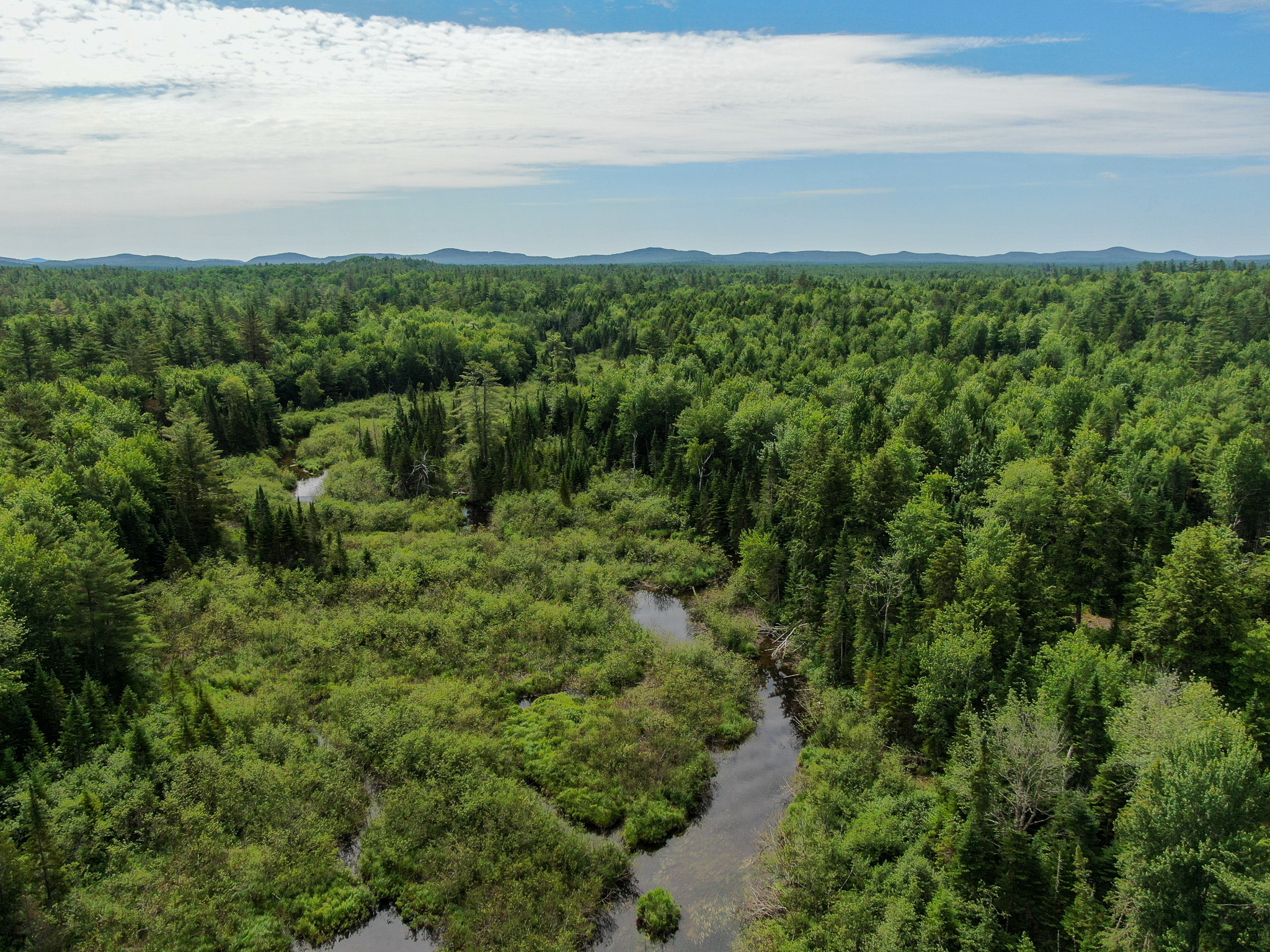 Off-Grid Maine Cabin for Sale | 26 Acres with Stream Frontage