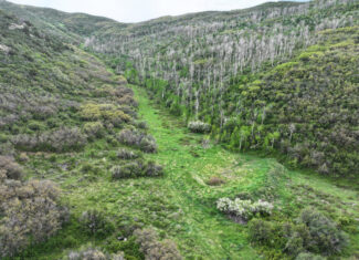 Colorado Recreation and Hunting Property