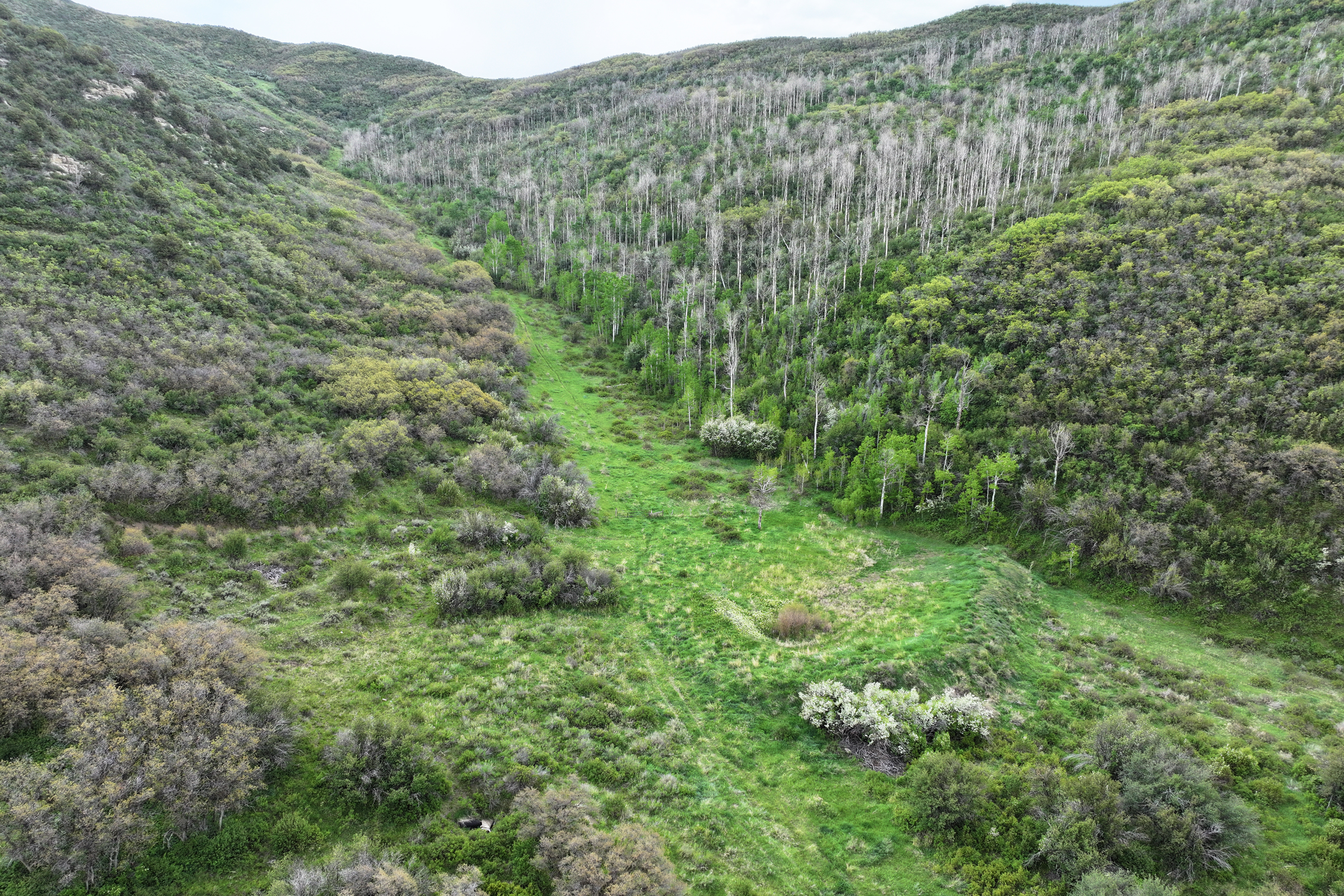 Colorado Recreation and Hunting Property