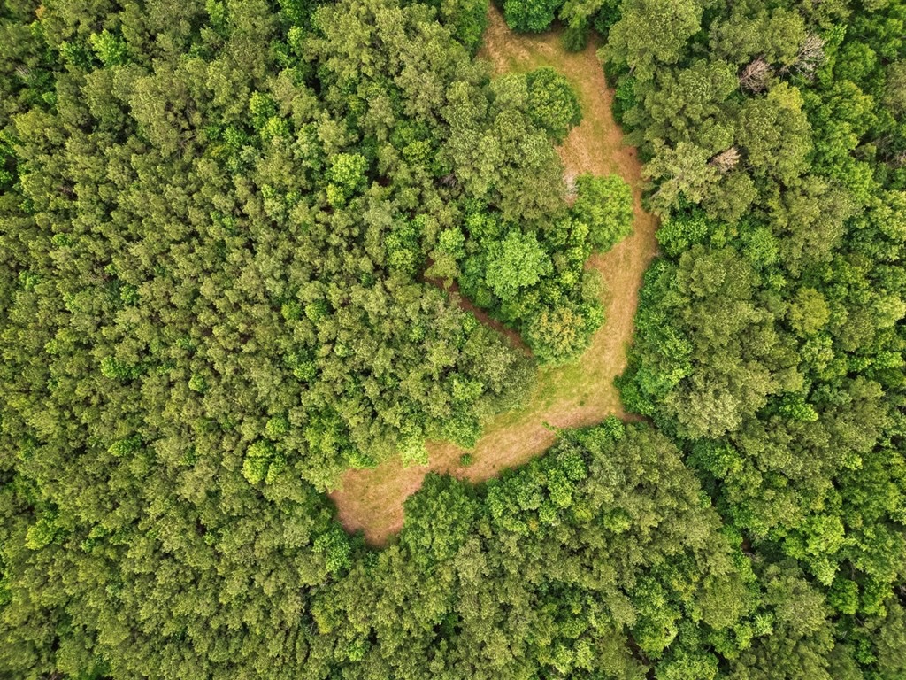Hunting Land Near Homochitto National Forest, MS