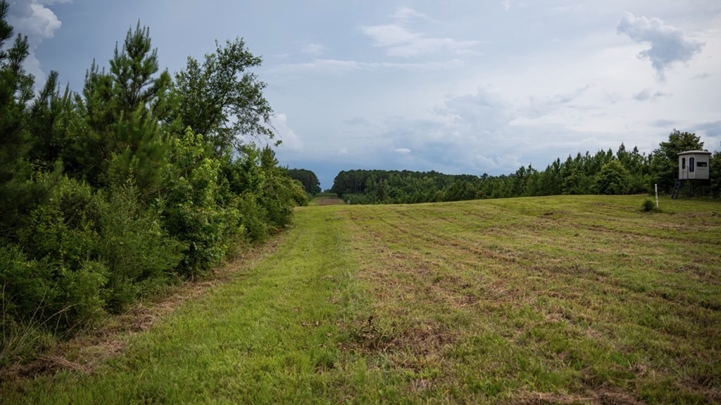 Mississippi Hunting Land – Easy 88 in Magnolia/Osyka