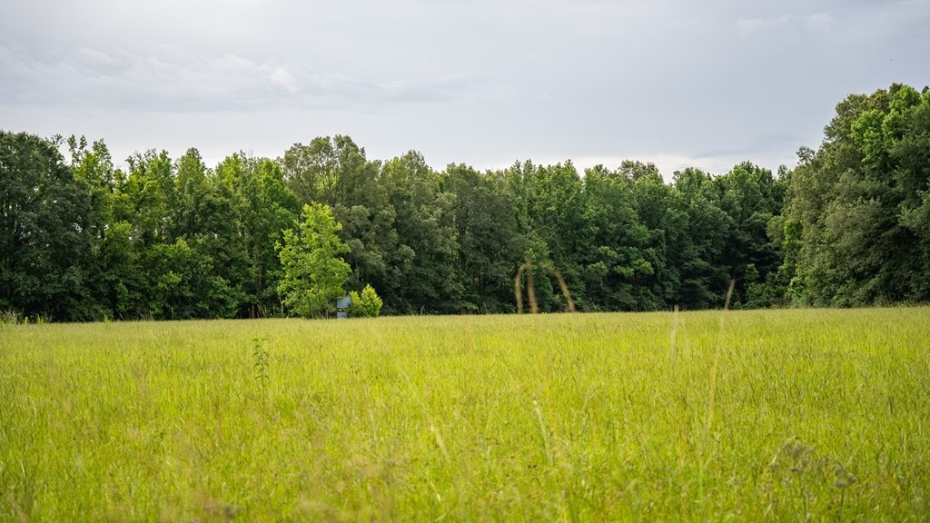 East Baton Rouge Recreational Land for Sale