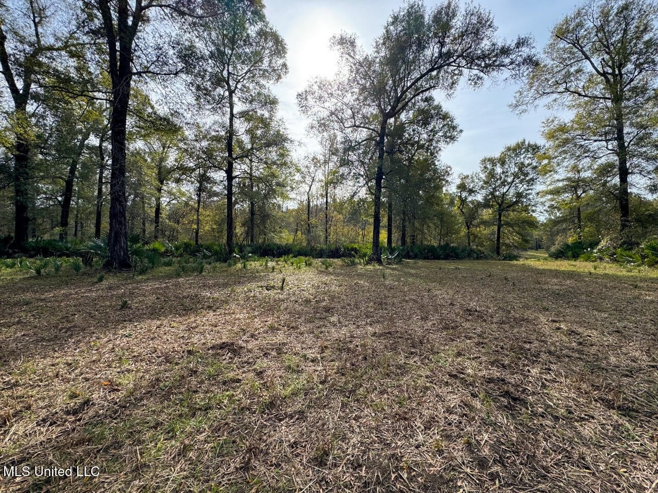 Tensas Parish LA – The Glade Hunting Property