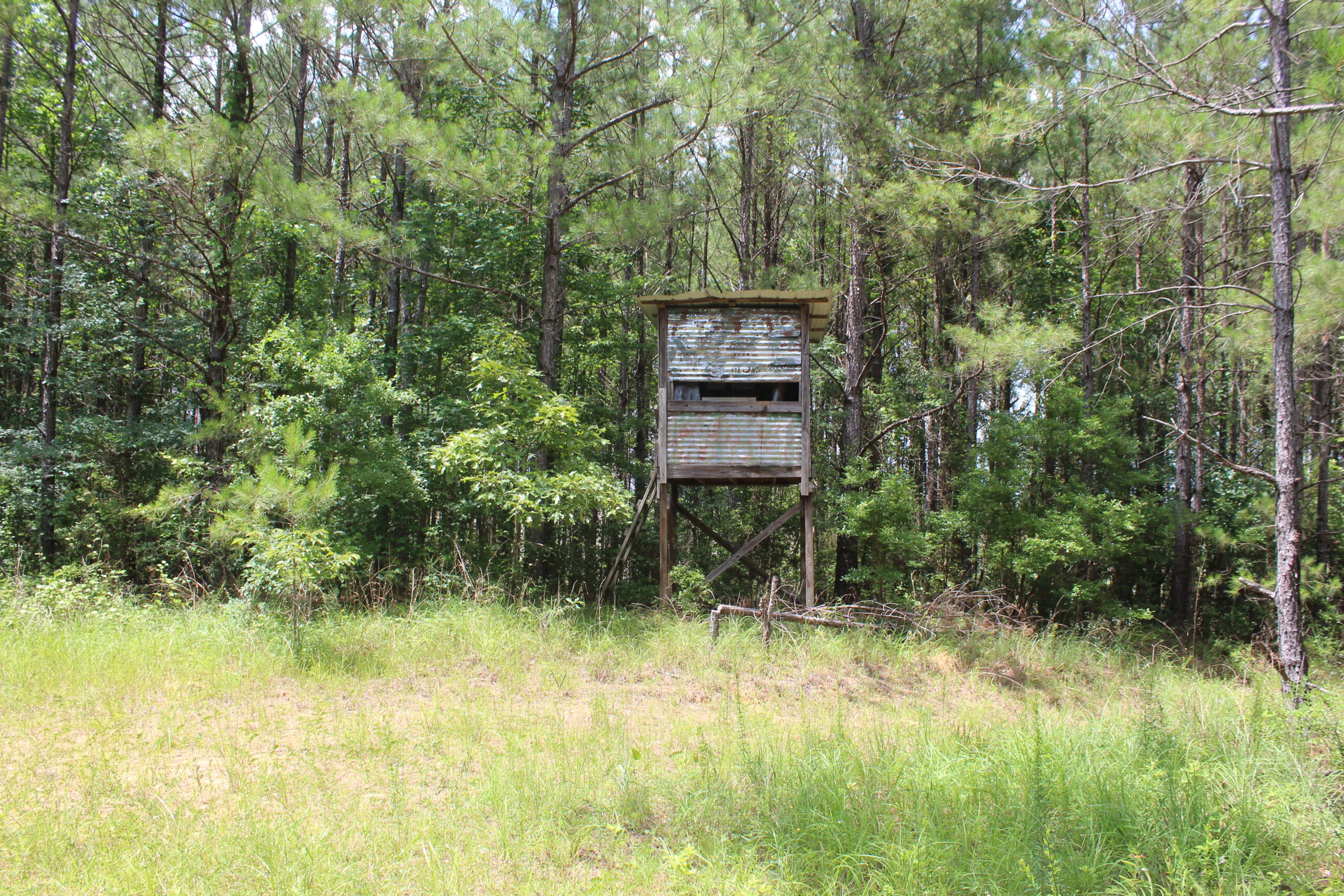 40 Acres of Plantation Pine Timber Highway 550 NW Lincoln County Mississippi