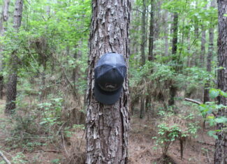 40 Acres of Plantation Pine Timber Highway 550 NW Lincoln County Mississippi