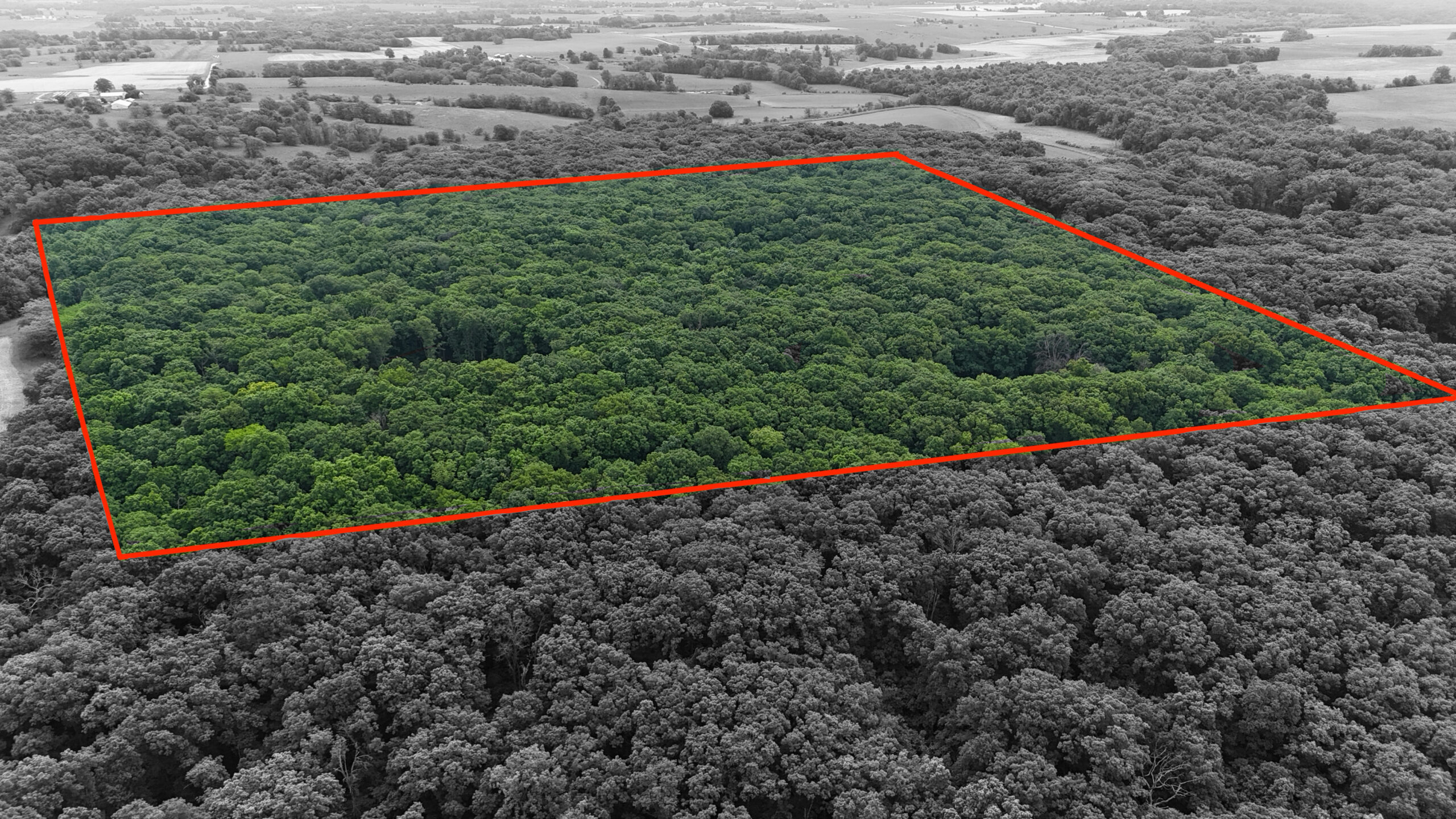 Outstanding Hunting Property in Northwest Knox County, MO
