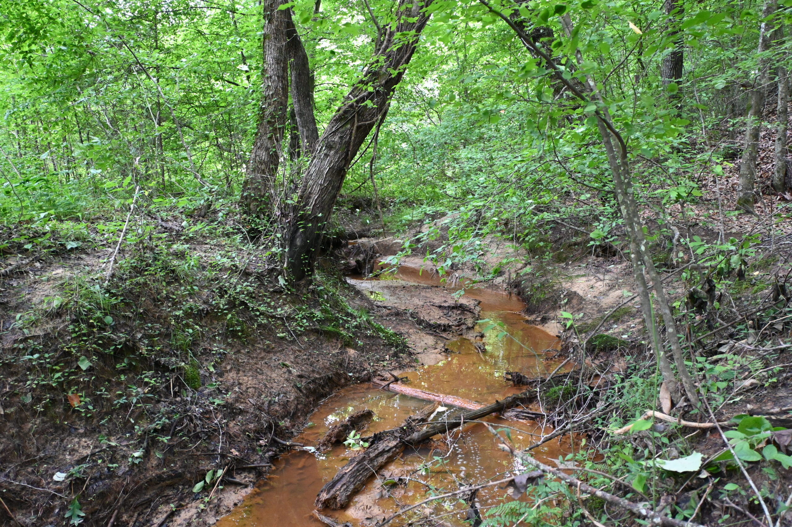 65.84 Acres for Sale in Decaturville, Tennessee