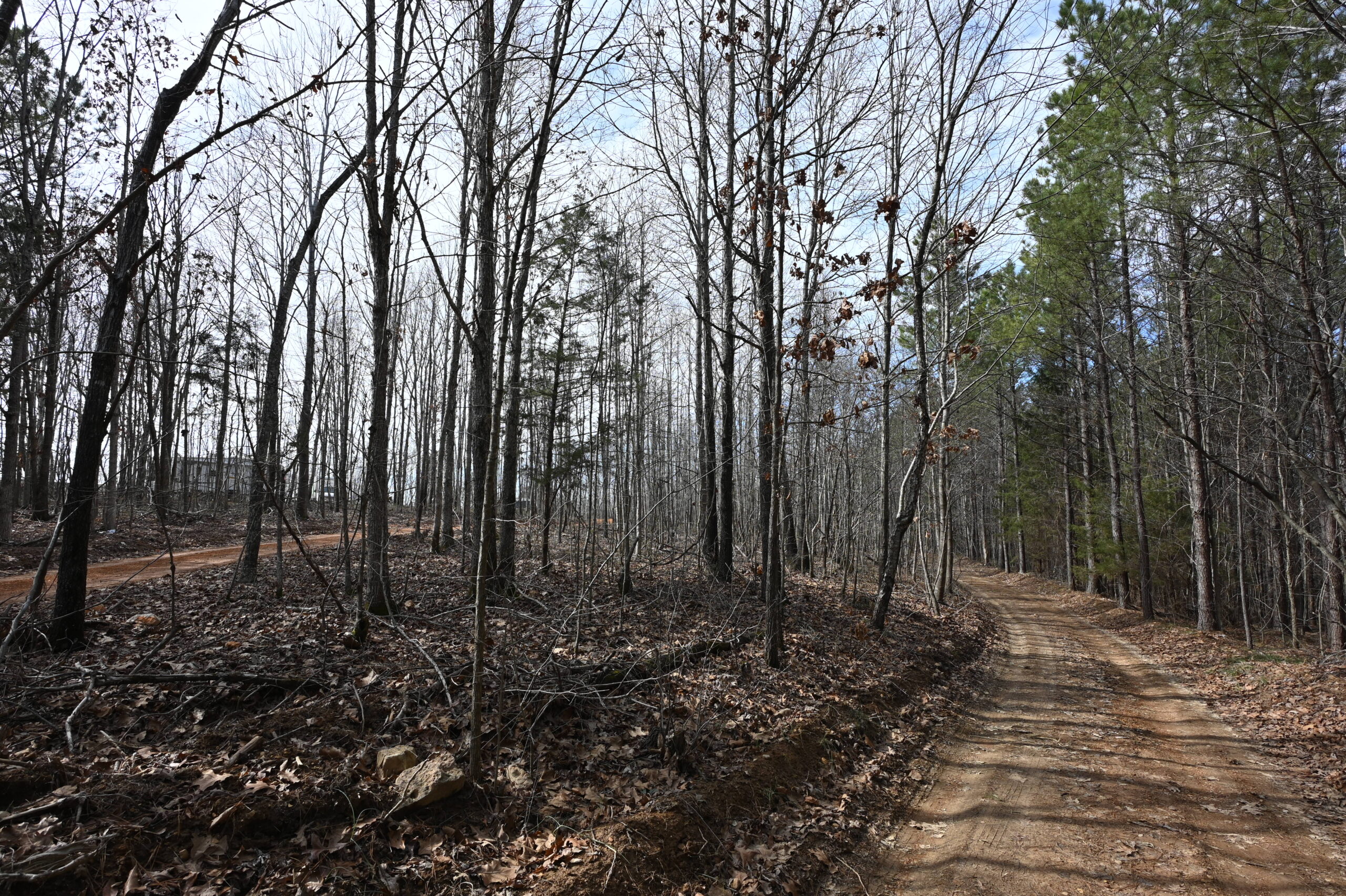 12.33 Acres Land for Sale in Perry County, Tennessee
