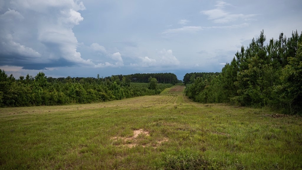 Mississippi Hunting Land – Easy 88 in Magnolia/Osyka