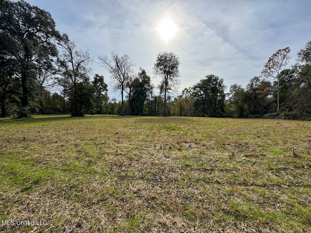 Tensas Parish LA – The Glade Hunting Property