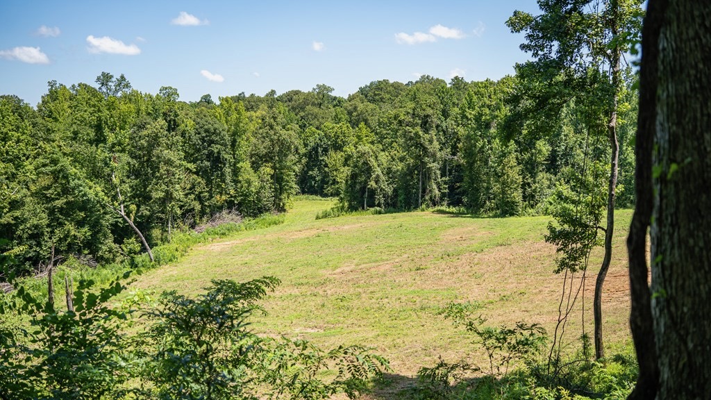 Hunting Land in Claiborne County, MS – Lonesome Pine