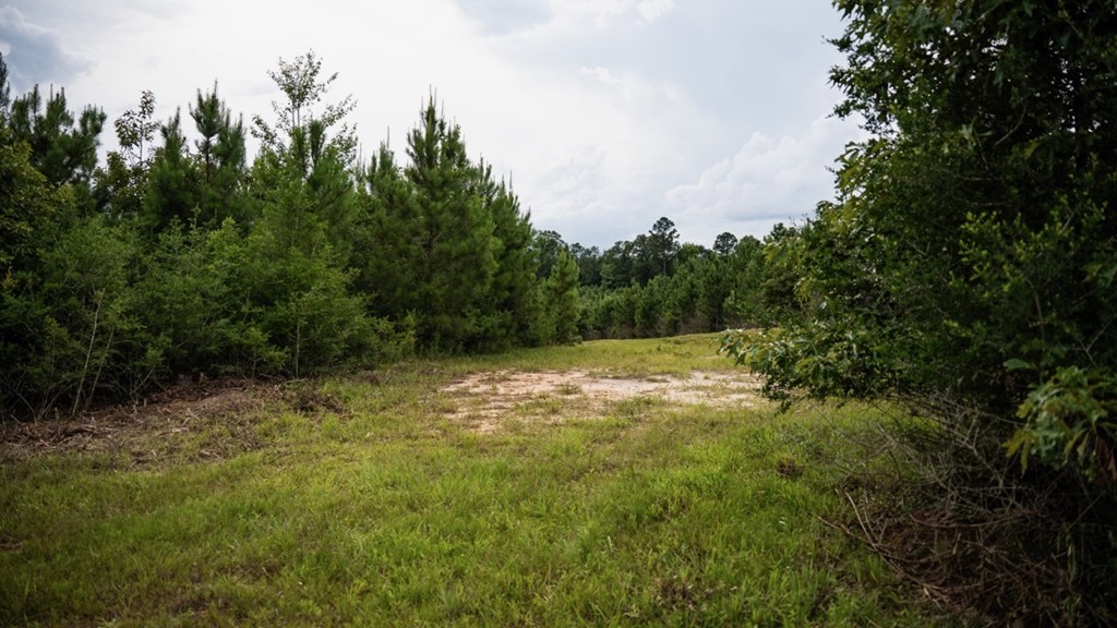 Mississippi Hunting Land – Easy 88 in Magnolia/Osyka