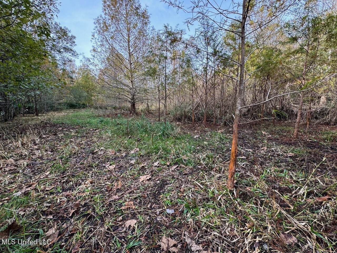 Tensas Parish LA – The Glade Hunting Property