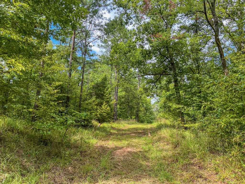 Hunting Land for Sale in Hinds County, MS