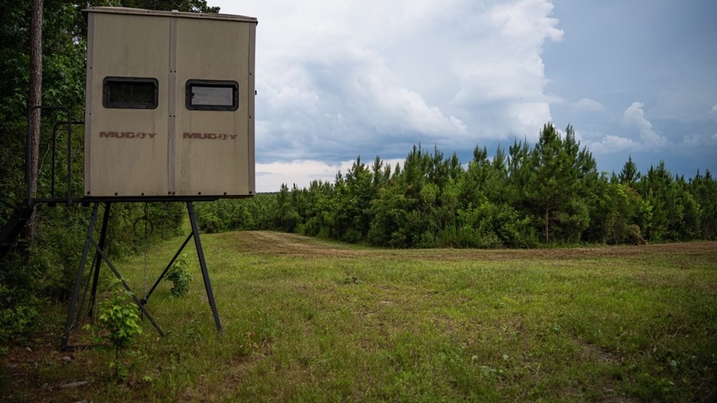Mississippi Hunting Land – Easy 88 in Magnolia/Osyka