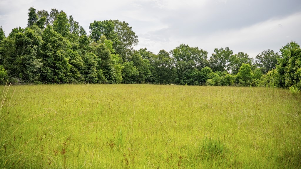 East Baton Rouge Recreational Land for Sale