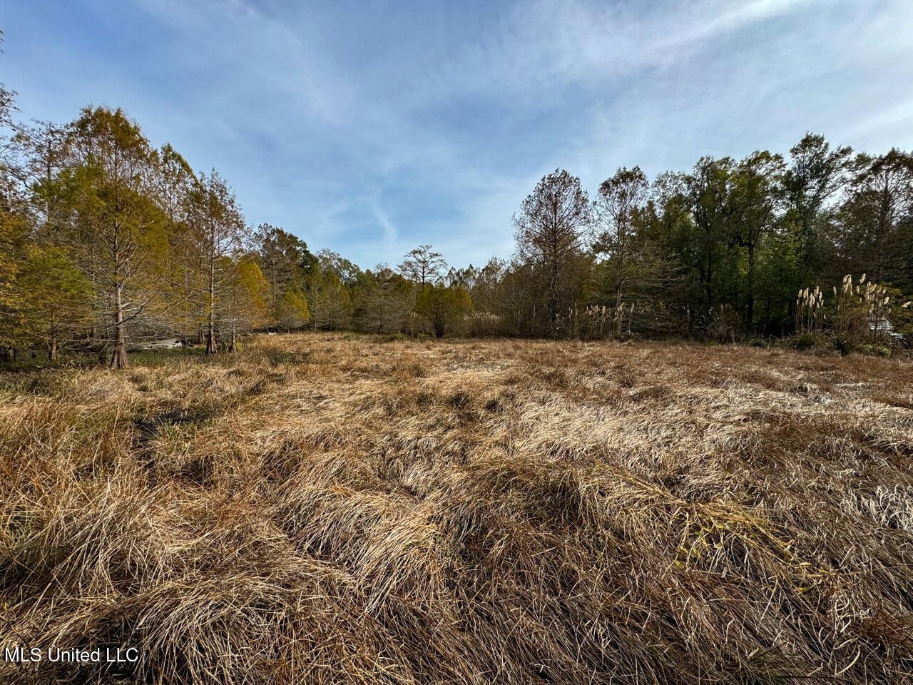 Tensas Parish LA – The Glade Hunting Property