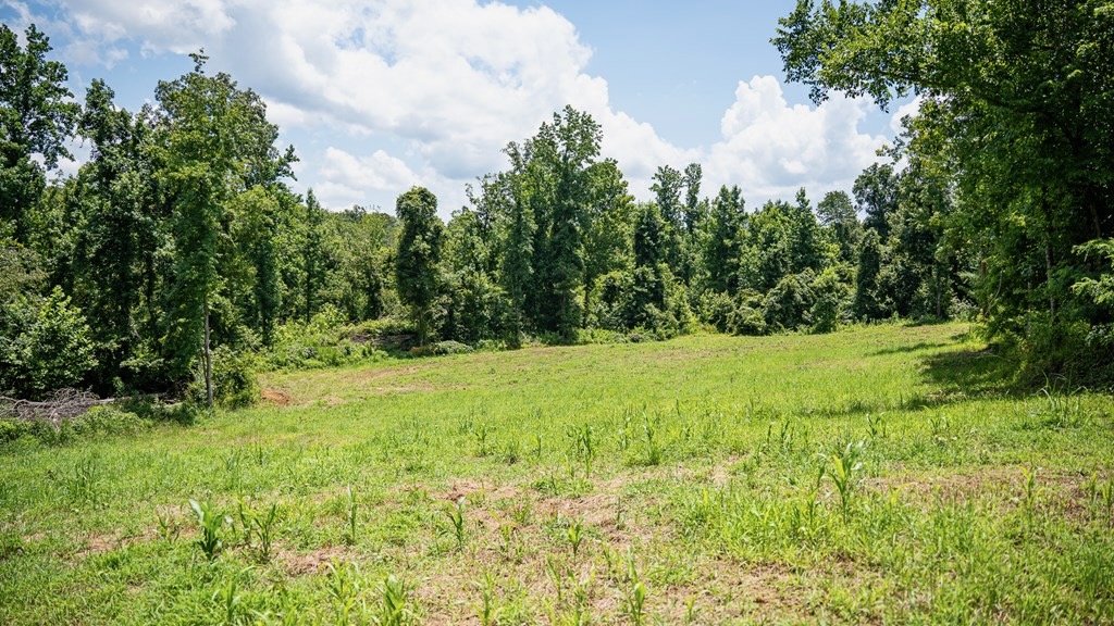 Hunting Land in Claiborne County, MS – Lonesome Pine