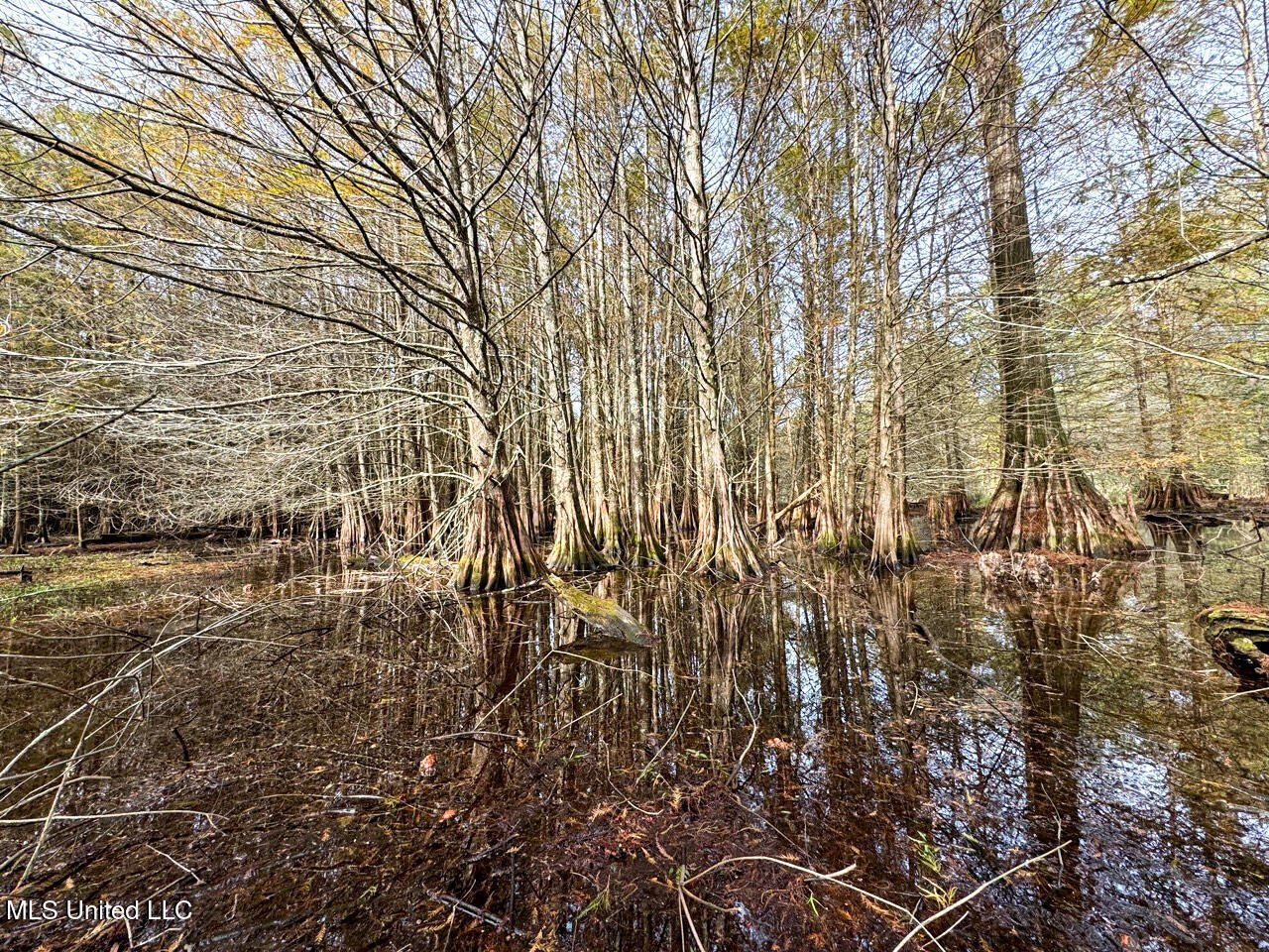 Tensas Parish LA – The Glade Hunting Property