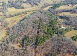 A SLICE OF BEAUTIFUL NORTH GEORGIA COUNTRYSIDE PARADISE