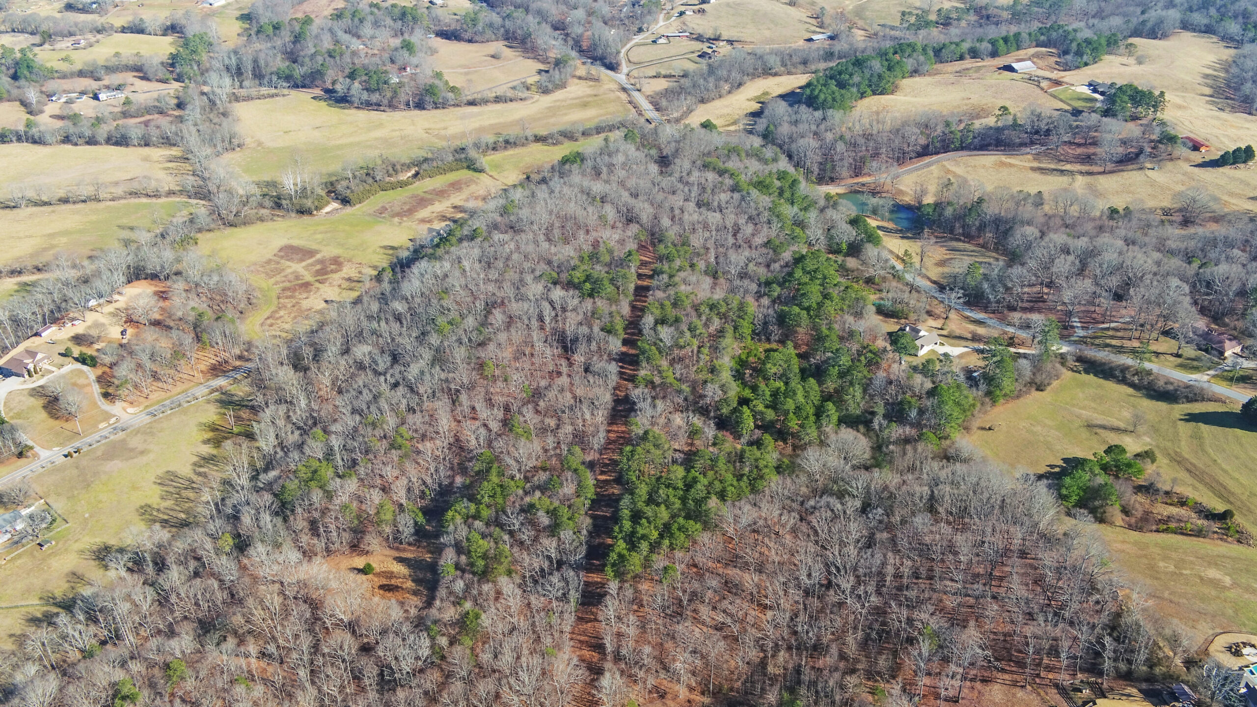 A SLICE OF BEAUTIFUL NORTH GEORGIA COUNTRYSIDE PARADISE