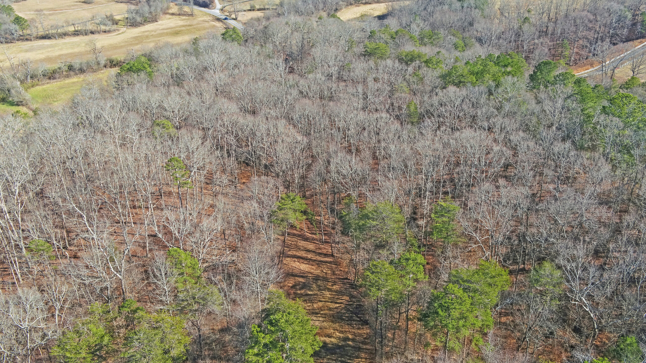 A SLICE OF BEAUTIFUL NORTH GEORGIA COUNTRYSIDE PARADISE