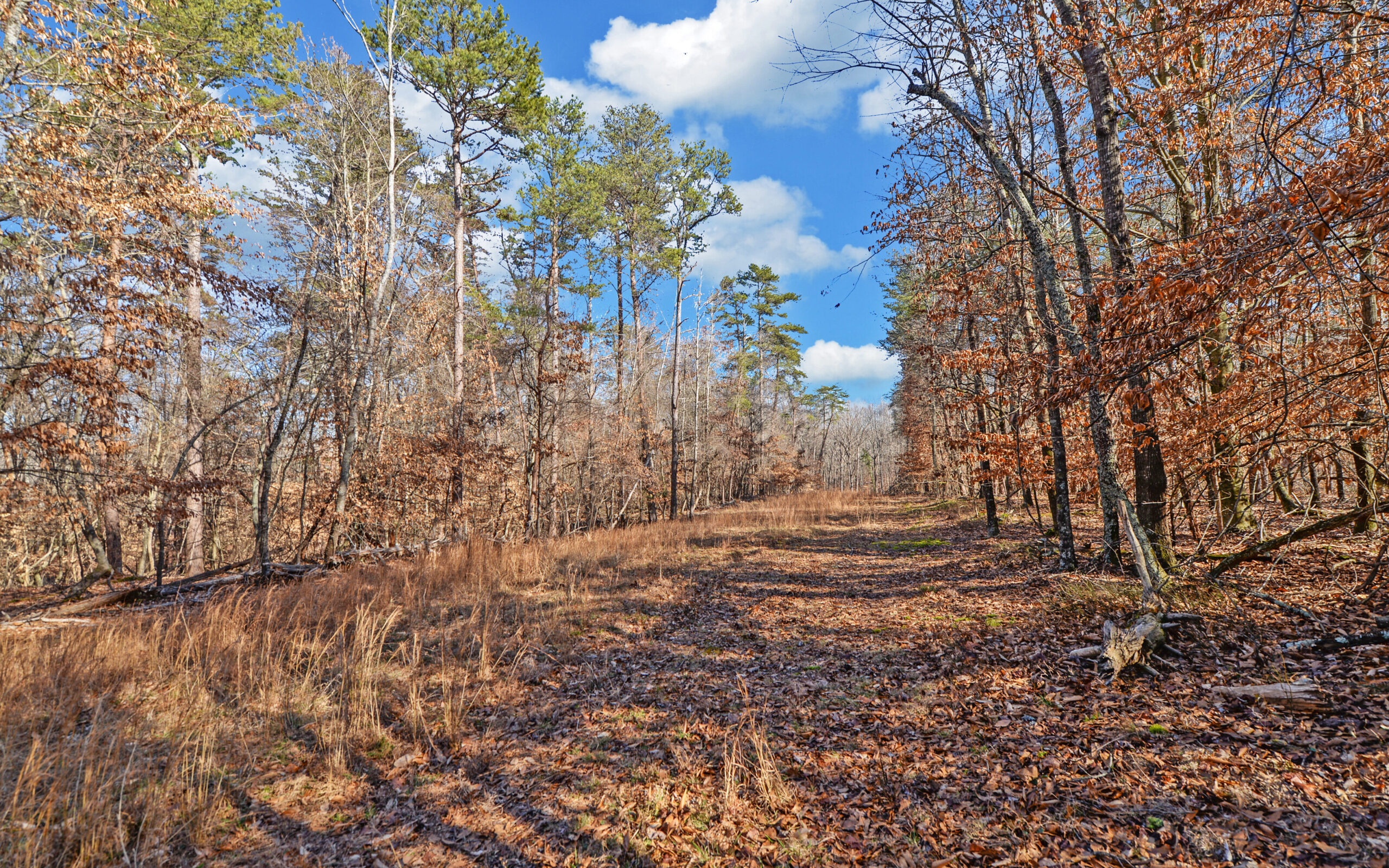 A SLICE OF BEAUTIFUL NORTH GEORGIA COUNTRYSIDE PARADISE